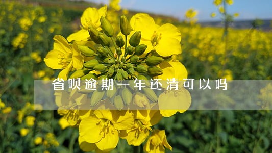 省呗逾期一年还清可以吗 省呗逾期一年还清可以吗