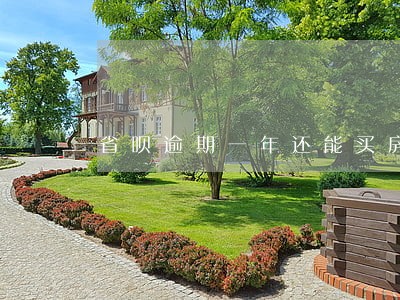 省呗逾期一年还能买房吗 省呗逾期一年还能买房吗