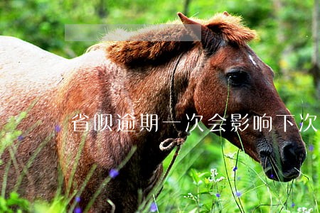 省呗逾期一次会影响下次借款吗 省呗逾期一次会影响下次借款吗