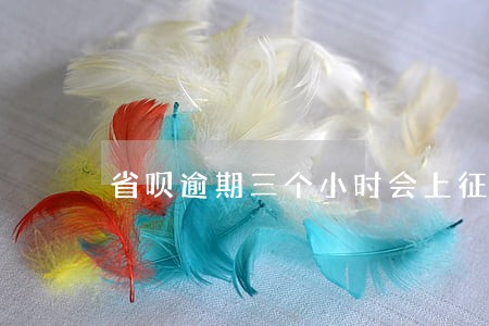 省呗逾期三个小时会上征信吗 省呗逾期三个小时会上征信吗