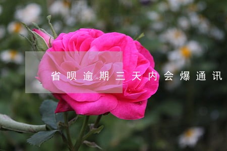 省呗逾期三天内会爆通讯录吗 省呗逾期三天内会爆通讯录吗