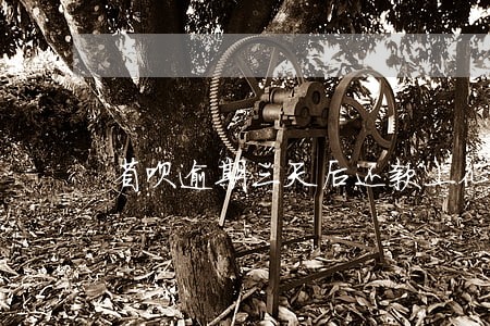 省呗逾期三天后还款上征信吗 省呗逾期三天后还款上征信吗