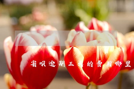 省呗逾期三天的费用哪里还 省呗逾期三天的费用哪里还