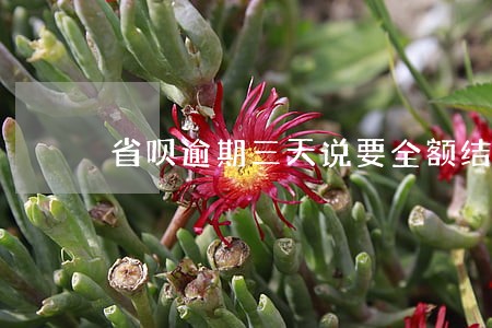 省呗逾期三天说要全额结清 省呗逾期三天说要全额结清