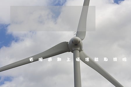 省呗逾期上征信能取消吗 省呗逾期上征信能取消吗
