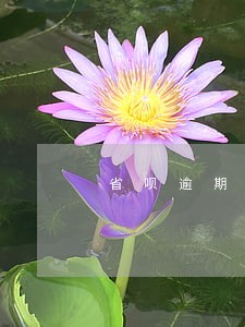 省呗逾期不还会上诉吗 省呗逾期不还会上诉吗