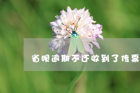 省呗逾期不还收到了传票 省呗逾期不还收到了传票