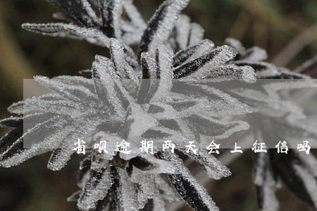 省呗逾期两天会上征信吗 省呗逾期两天会上征信吗