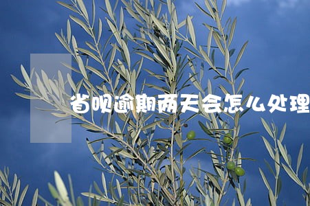 省呗逾期两天会怎么处理