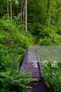 省呗逾期两天会打联系人吗 省呗逾期两天会打联系人吗