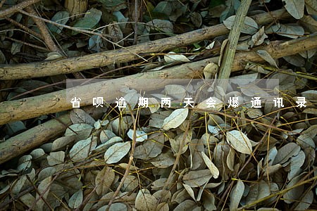 省呗逾期两天会爆通讯录么 省呗逾期两天会爆通讯录么