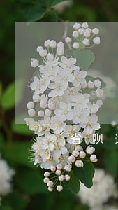 省呗逾期两天影响征信吗 省呗逾期两天影响征信吗