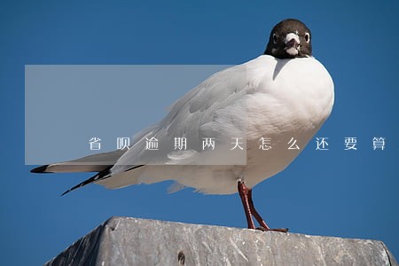 省呗逾期两天怎么还要算逾期费呢 省呗逾期两天怎么还要算逾期费呢