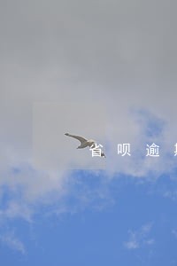 省呗逾期两天还 省呗逾期两天还