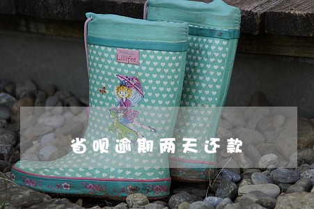 省呗逾期两天还款 省呗逾期两天还款