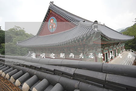 省呗逾期两天还款多久再借 省呗逾期两天还款多久再借