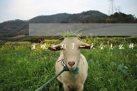 省呗逾期了一天会怎么样 省呗逾期了一天会怎么样