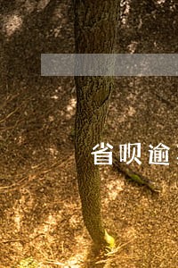 省呗逾期了可以协商吗 省呗逾期了可以协商吗