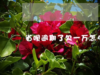省呗逾期了欠一万怎么办
