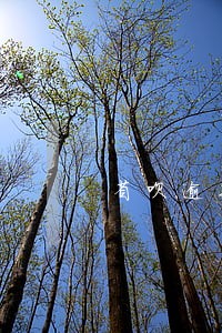 省呗逾期五天会上门催款 省呗逾期五天会上门催款