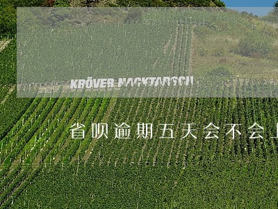省呗逾期五天会不会上征信 省呗逾期五天会不会上征信