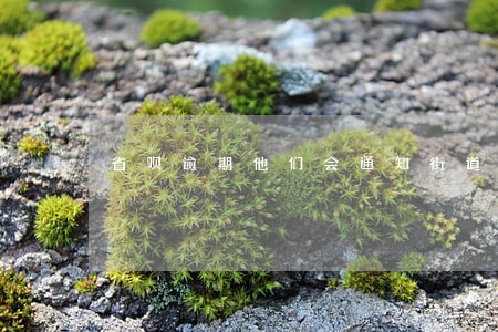 省呗逾期他们会通知街道办吗 省呗逾期他们会通知街道办吗