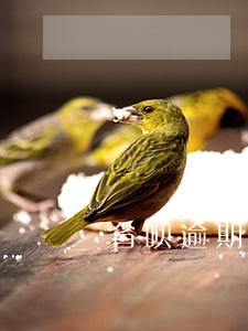 省呗逾期会上门催款吗 省呗逾期会上门催款吗