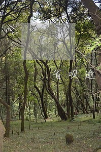 省呗逾期会不会被冻结 省呗逾期会不会被冻结