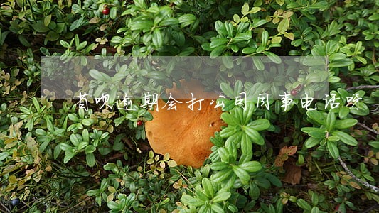省呗逾期会打公司同事电话呀 省呗逾期会打公司同事电话呀
