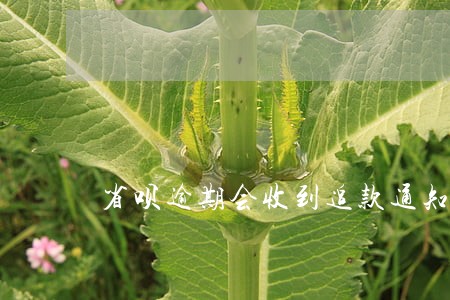 省呗逾期会收到追款通知单吗 省呗逾期会收到追款通知单吗