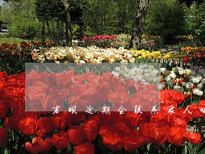 省呗逾期会联系家人吗 省呗逾期会联系家人吗