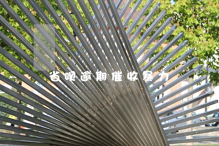 省呗逾期催收暴力 省呗逾期催收暴力