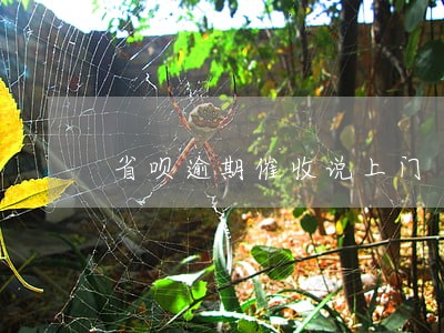 省呗逾期催收说上门 省呗逾期催收说上门