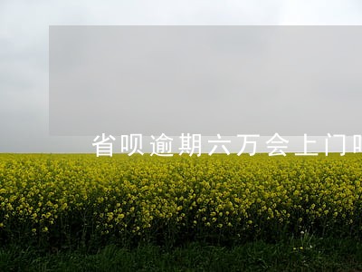 省呗逾期六万会上门吗 省呗逾期六万会上门吗