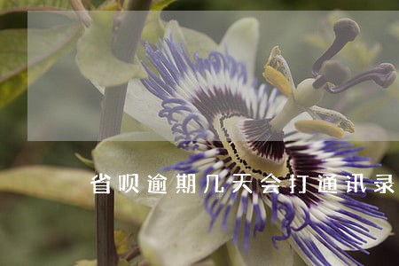 省呗逾期几天会打通讯录电话 省呗逾期几天会打通讯录电话