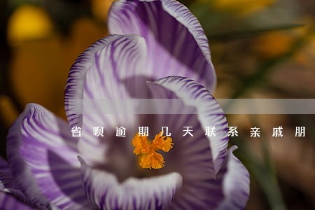 省呗逾期几天联系亲戚朋友