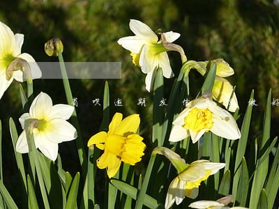 省呗逾期发信息说做好应诉 省呗逾期发信息说做好应诉