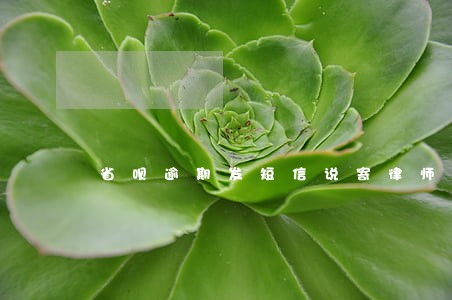 省呗逾期发短信说寄律师函 省呗逾期发短信说寄律师函