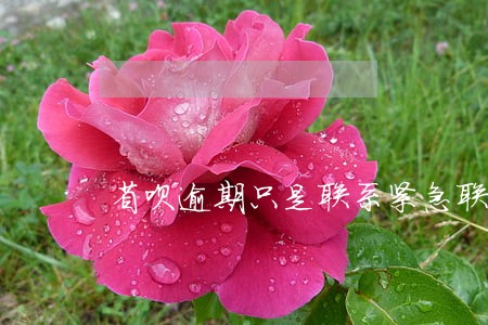 省呗逾期只是联系紧急联系人吗 省呗逾期只是联系紧急联系人吗