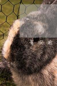省呗逾期可以打电话协商吗 省呗逾期可以打电话协商吗