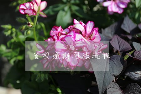 省呗逾期司法流程 省呗逾期司法流程