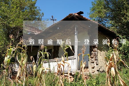 省呗逾期后一登录就有电话 省呗逾期后一登录就有电话