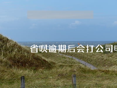 省呗逾期后会打公司电话吗 省呗逾期后会打公司电话吗