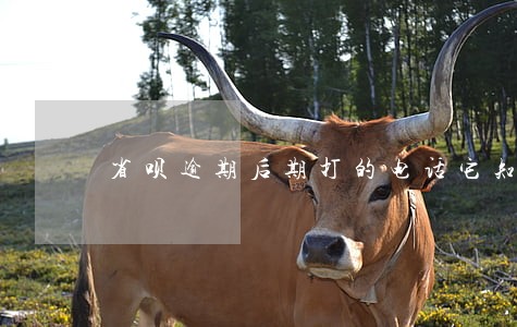 省呗逾期后期打的电话它知道吗 省呗逾期后期打的电话它知道吗
