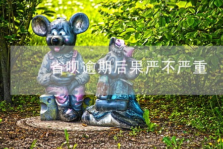 省呗逾期后果严不严重 省呗逾期后果严不严重