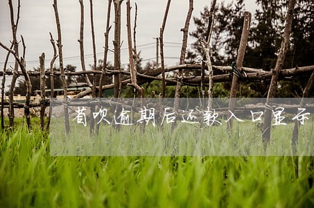 省呗逾期后还款入口显示处理中 省呗逾期后还款入口显示处理中