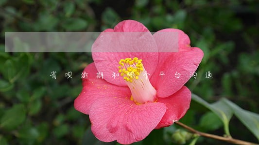 省呗逾期和哪个平台沟通 省呗逾期和哪个平台沟通