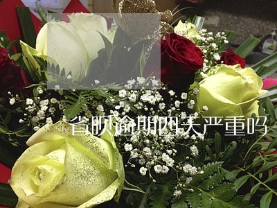 省呗逾期四天严重吗 省呗逾期四天严重吗