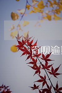 省呗逾期四天突然不打电话了 省呗逾期四天突然不打电话了