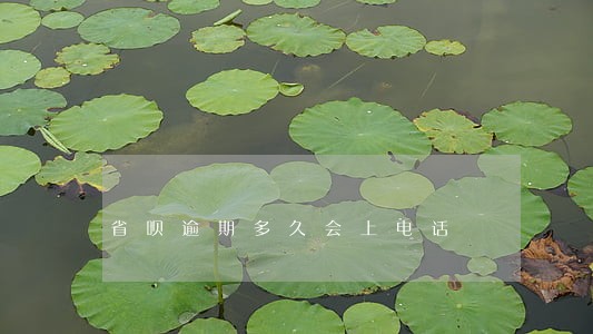 省呗逾期多久会上电话 省呗逾期多久会上电话